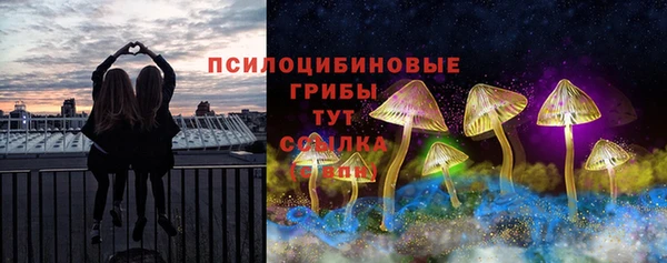 PSILOCYBIN Алексеевка