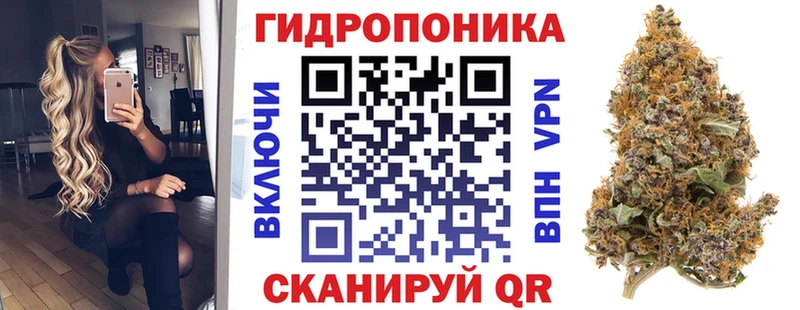 Шишки марихуана сатива  купить наркотики сайты  Щигры 